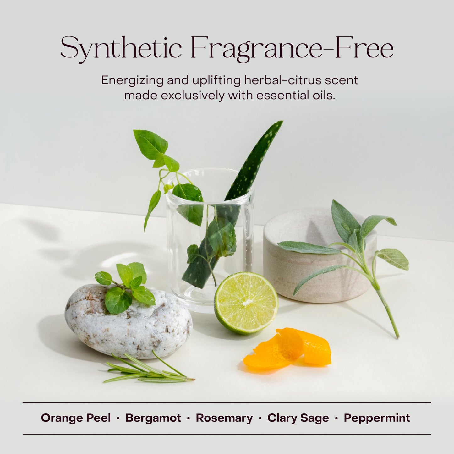 Everist The Haircare Essentials Duo | Shampoo & Deep Conditioner | Repairs & Hydrates | For Sensitive Scalp | Plant-Based, Color-Safe, 3.4 fl oz Each