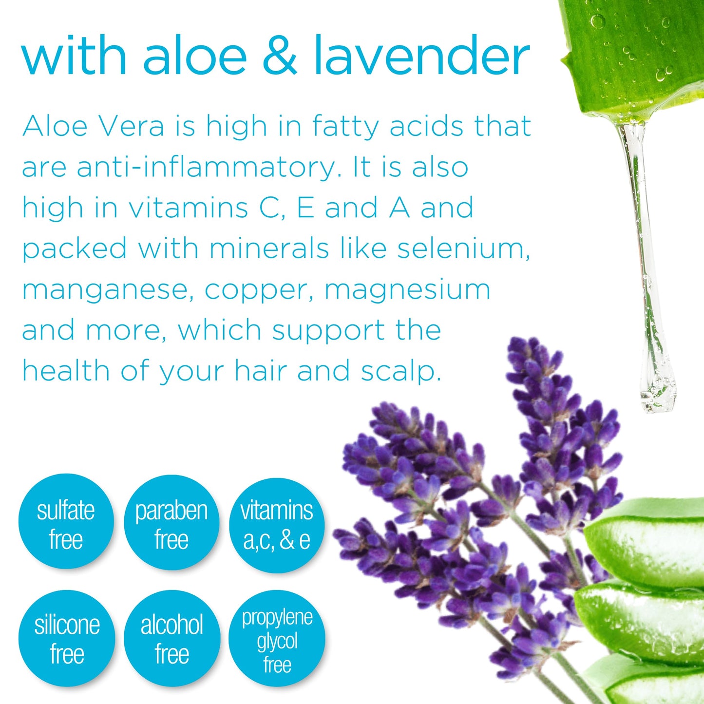 Naturaz Rehydrating Mist Detangler Spray – Leave-In Conditioner with Aloe Vera for Dry, Curly & Coily Hair – Moisturizing Vegan Formula – 8 fl oz