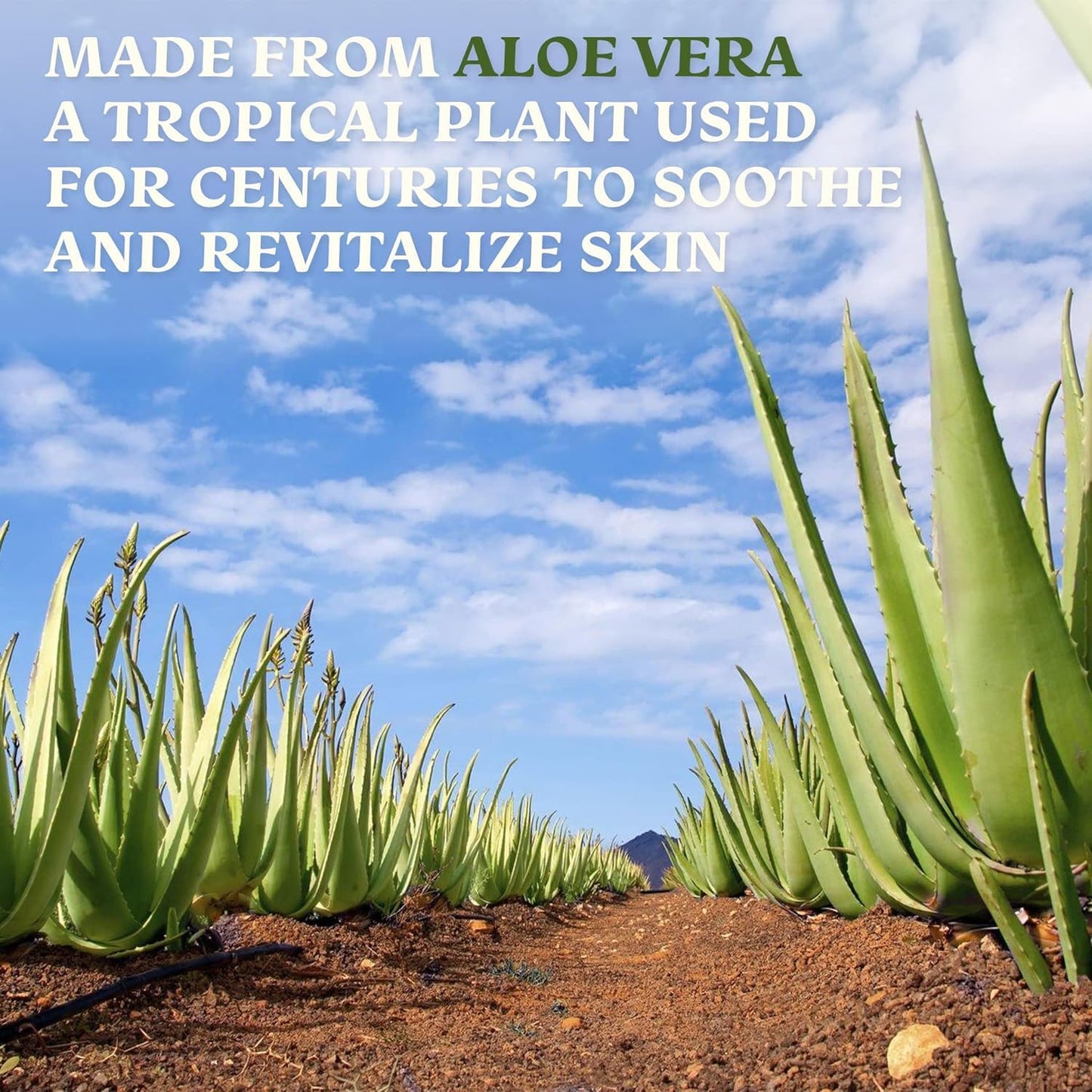 Amazing Aloe Vera Gel 100% Pure & Freshly Cut - Natural Sunburn, After Shave, Face, Skin & Hair Care - Unscented, Vegan - 16oz (2x8oz)