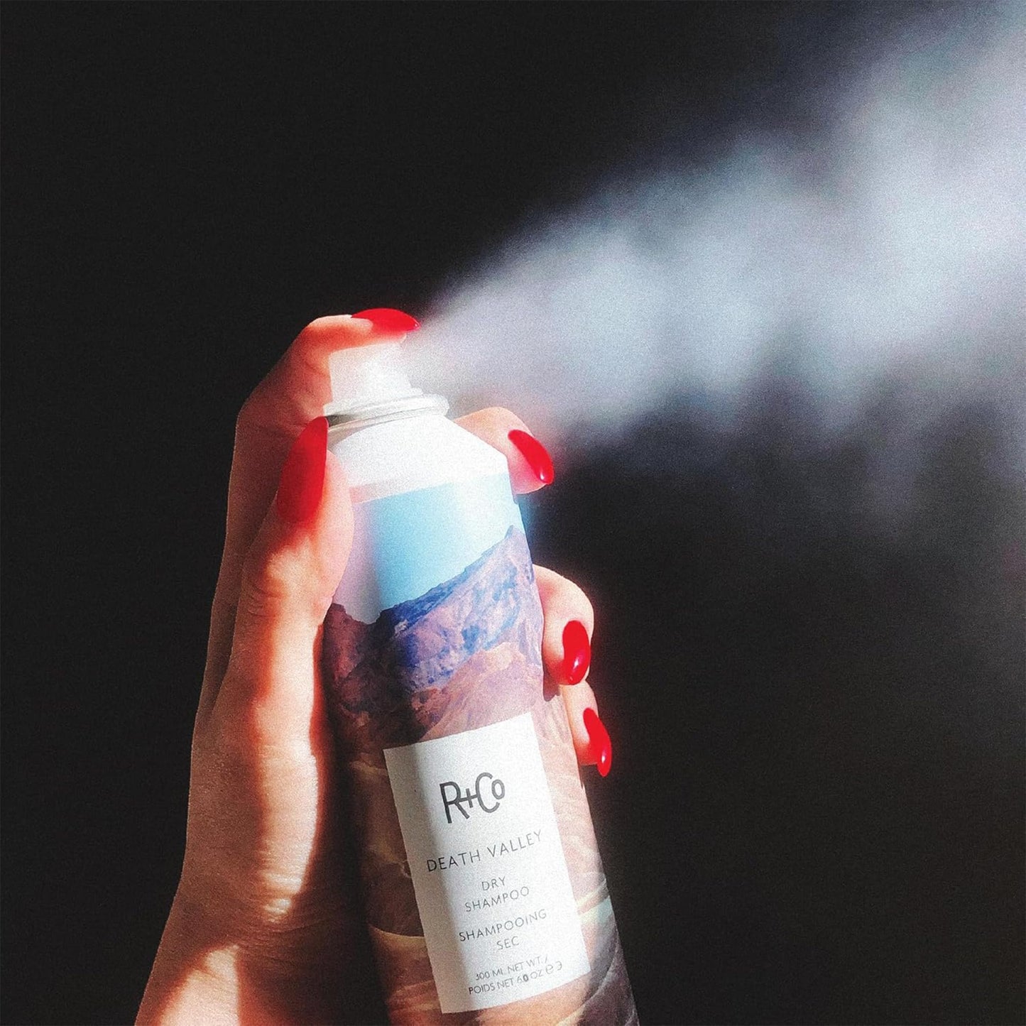 R+Co Death Valley Dry Shampoo For Women | Adds Volume & Body | Vegan, Gluten-Free & No Parabens |