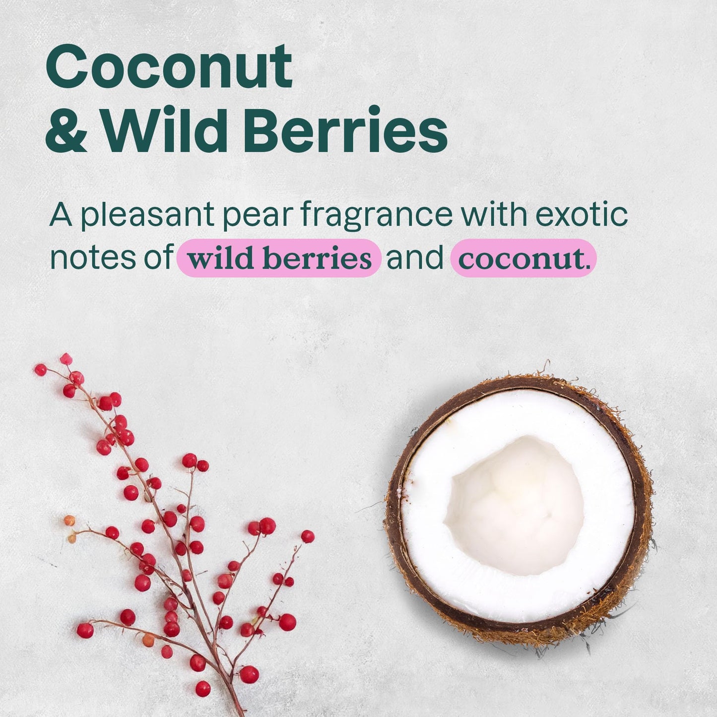 ATTITUDE Body Wash – EWG Verified, Dermatologically Tested, Plant & Mineral-Based Vegan Shower Gel with Coconut & Wild Berries, 16 fl oz