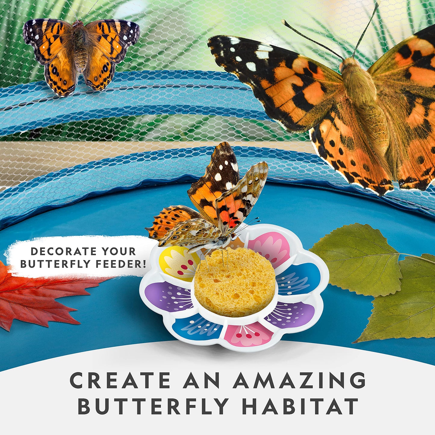 National Geographic Butterfly Growing Kit - Butterfly Habitat with Cage, Feeder & Voucher for 5 Caterpillars (S&H Not Included)