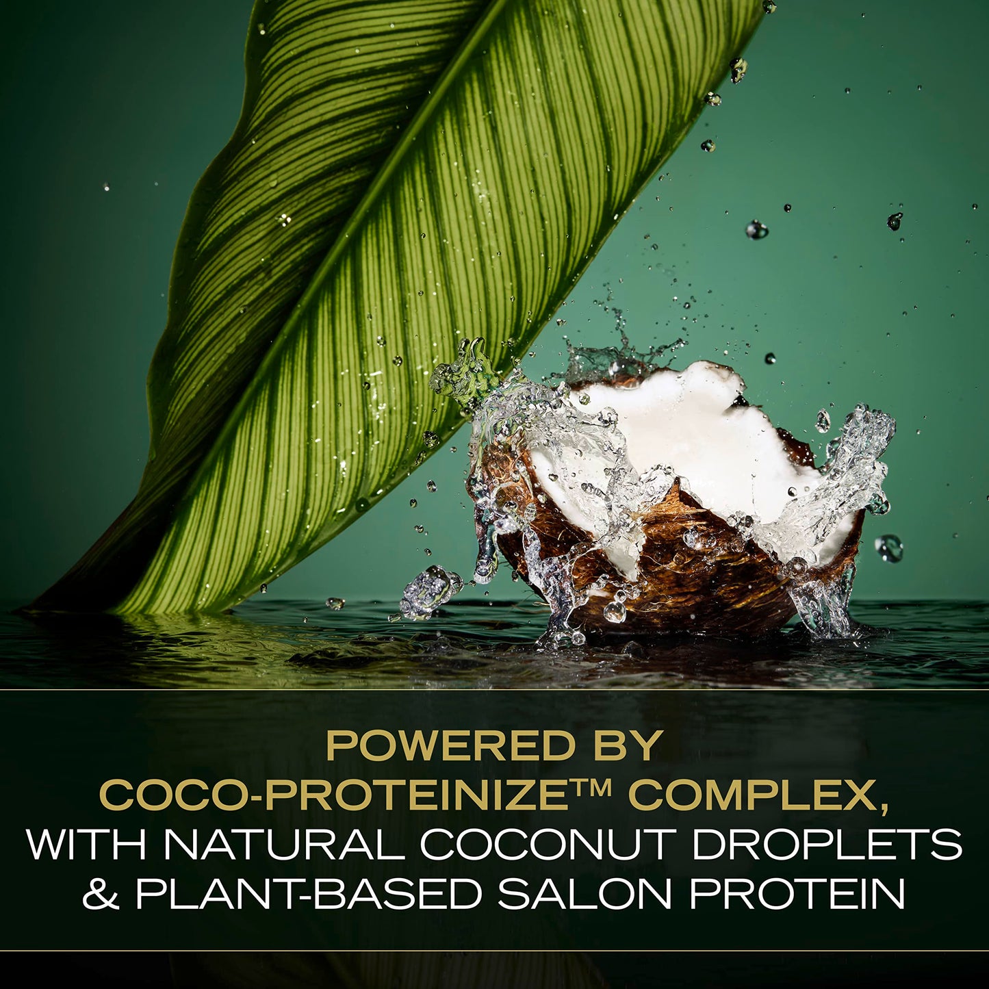 TRESemmé Pro Infusion Volume Tonic Hair Thickening Spray with Biotin & Coconut, Plant-Based Texturizing Spray for Women, 8 Oz, 2 Pack