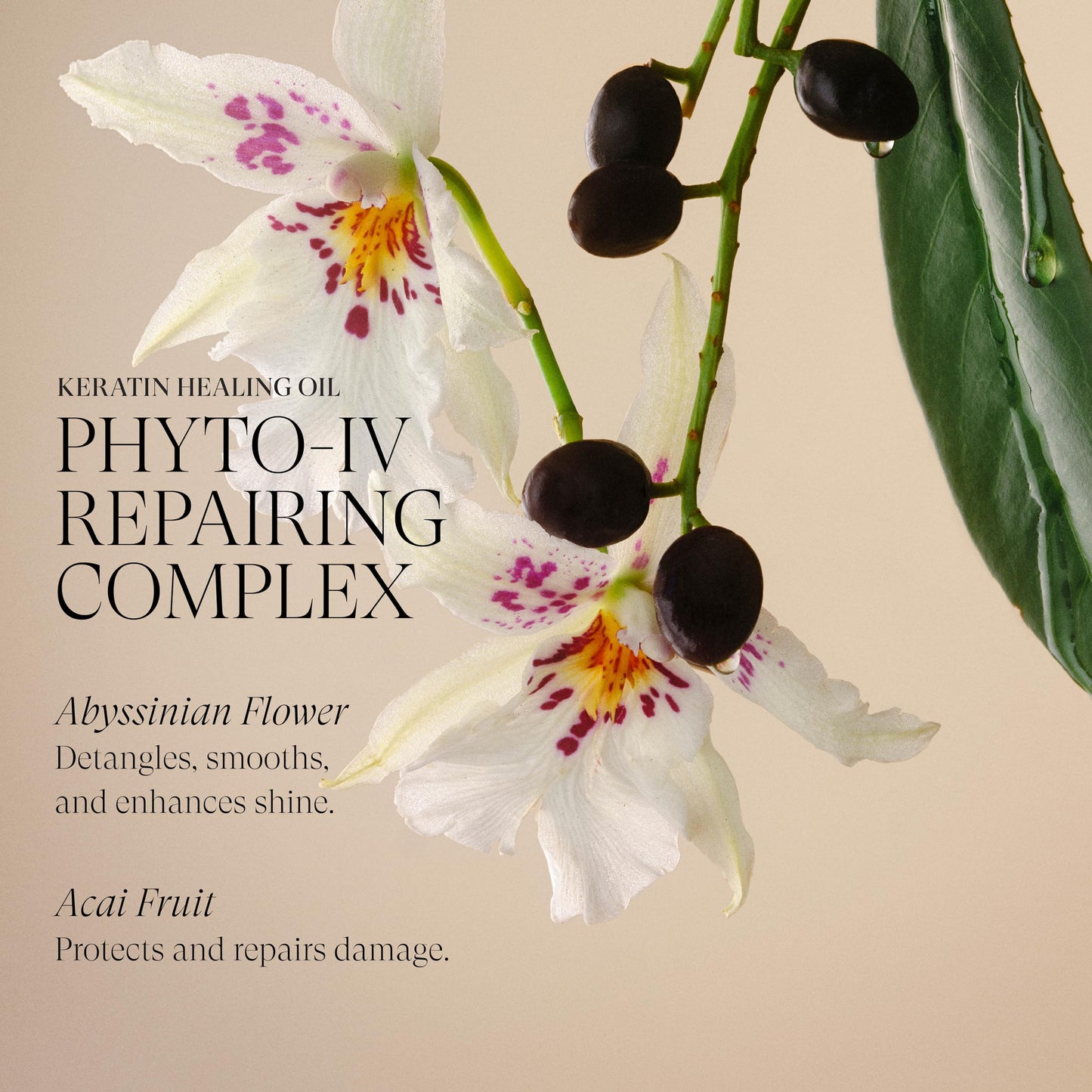 L'ANZA Keratin Healing Hair Oil Treatment, Keratin Hair Treatment, Hair Oil For Damaged Hair, Revives & Nourishes, Sulfate Free Healing Oil for Hair with Phyto IV Complex, Cruelty Free Hair Care