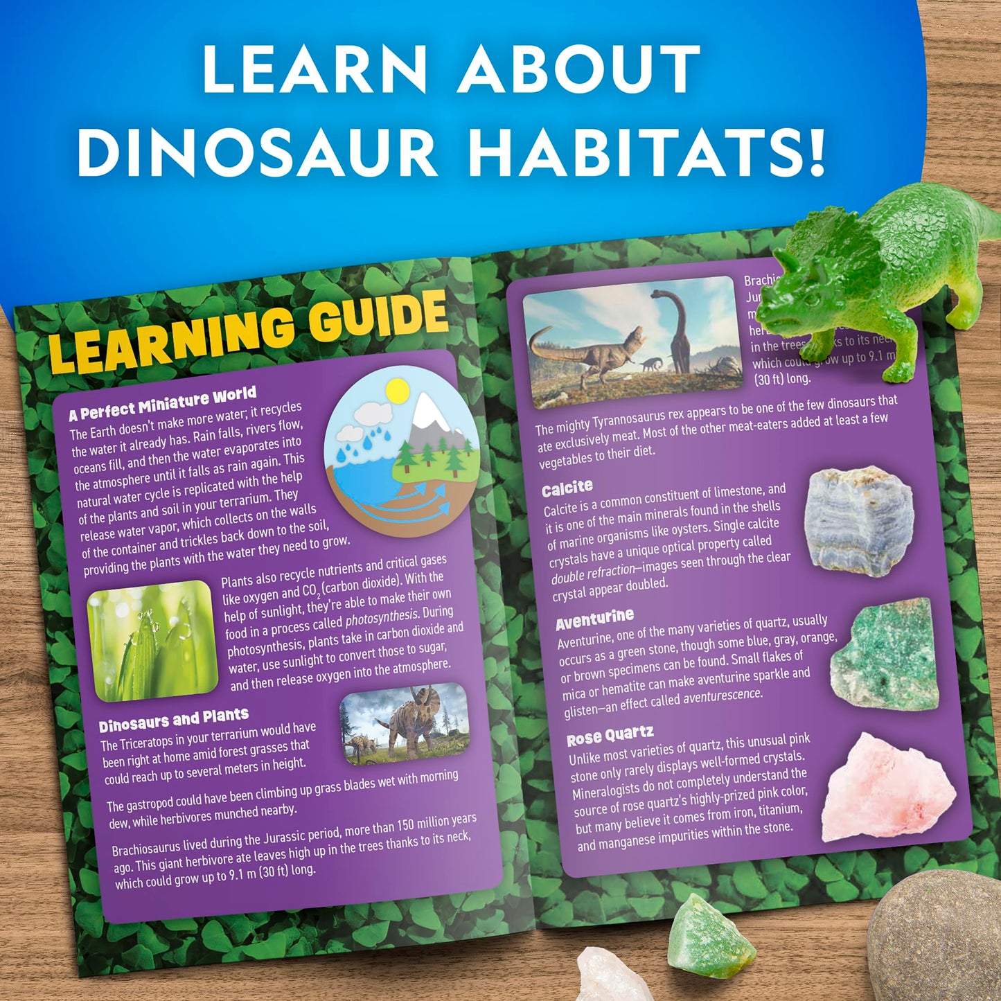 National Geographic Dinosaur Terrarium Kit for Kids – Light-Up Dino Habitat with Real Plants, Science Kit & Dinosaur Toys, Fun STEM Activity