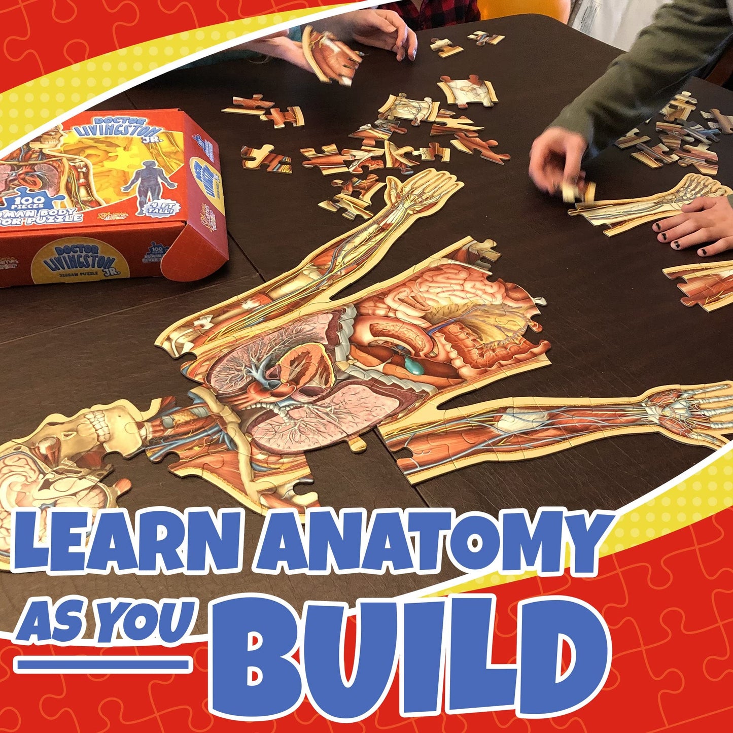 Human Anatomy Kids Floor Puzzle – Dr. Livingston Jr’s 100-Piece Full Body Jigsaw, 4ft Medically Accurate Educational Toy for Ages 6-10