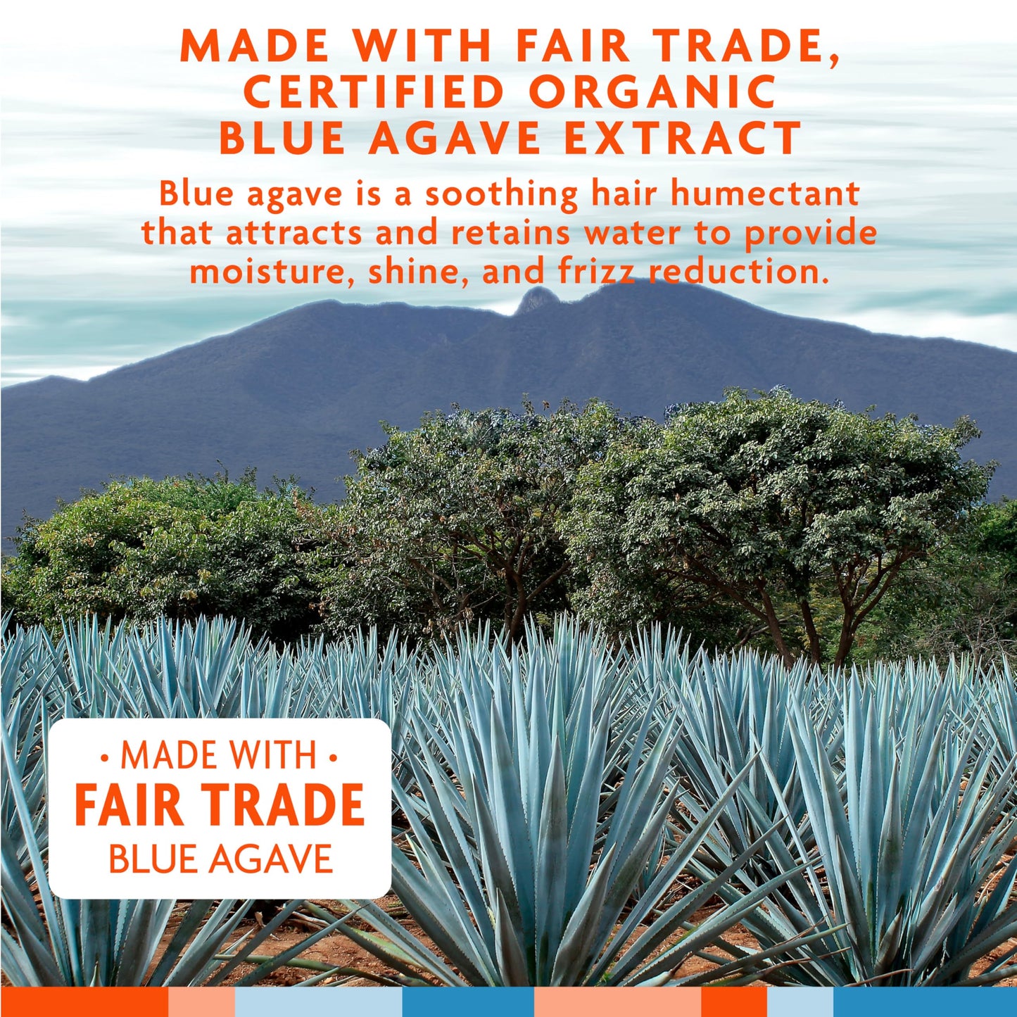 Cantu Weightless Smooth + Curl Cream, 10 fl oz