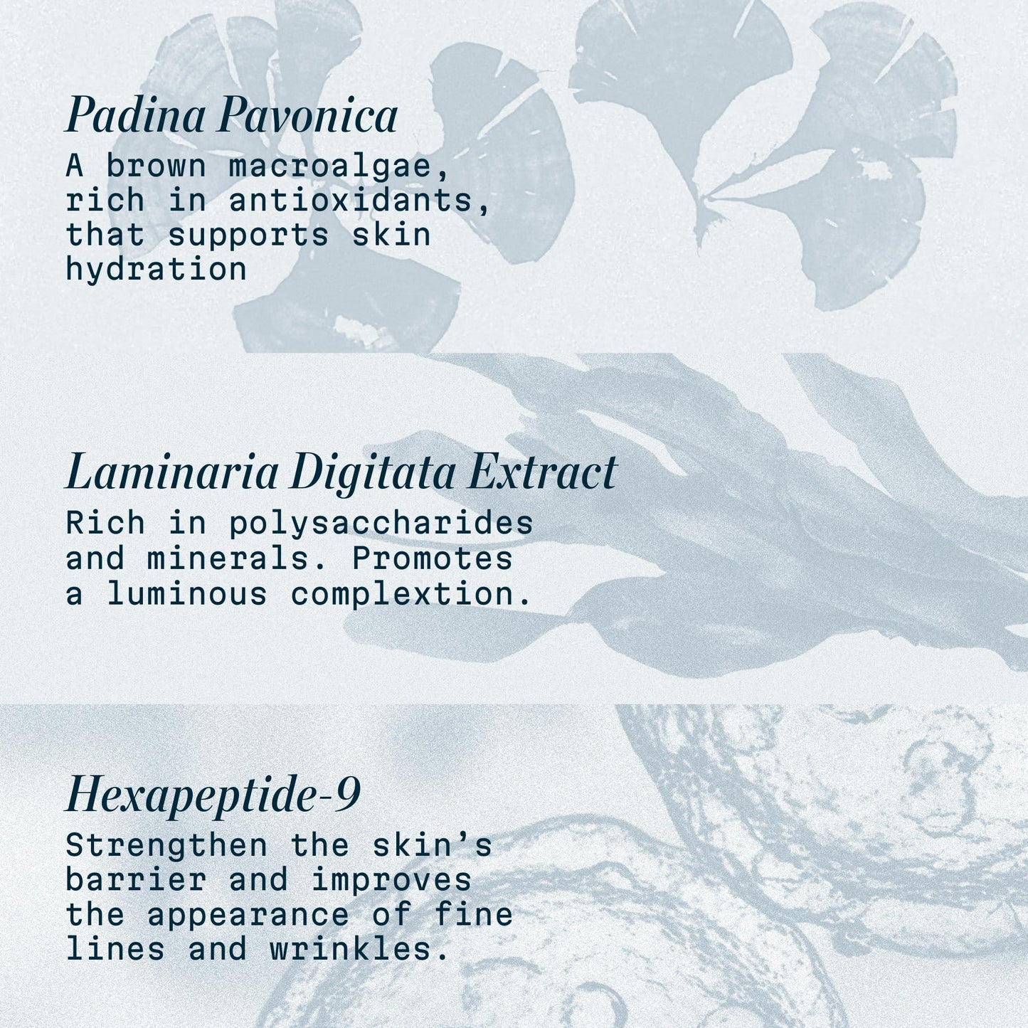 ELEMIS Pro-Collagen Night Cream - Overnight Anti-Aging Moisturizer - Hydrating and Firming Formula for Fine Lines and Wrinkles - 50ml