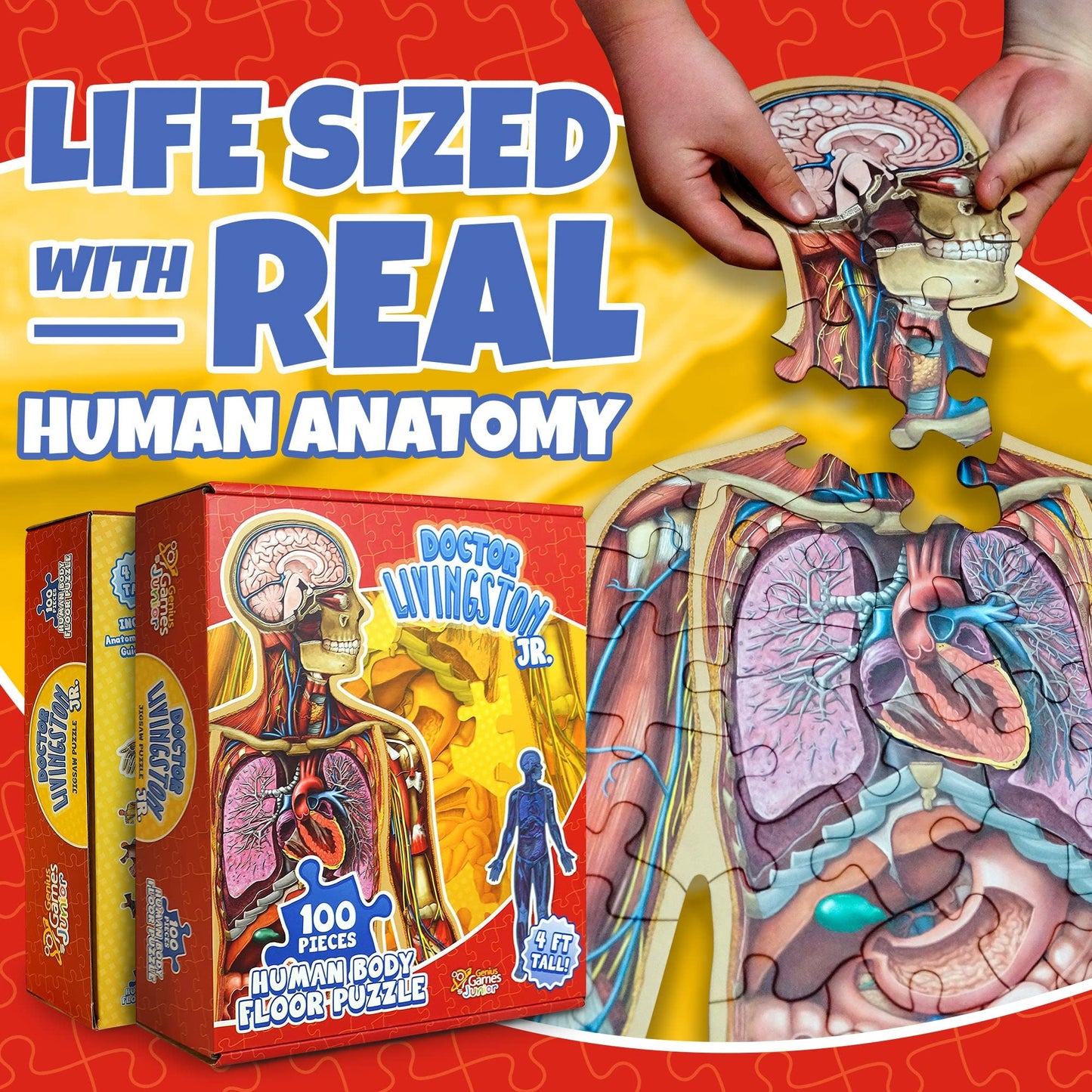 Human Anatomy Kids Floor Puzzle – Dr. Livingston Jr’s 100-Piece Full Body Jigsaw, 4ft Medically Accurate Educational Toy for Ages 6-10