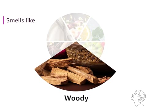 Woody's 3-in-1 Shampoo, Conditioner & Body Wash for Men, Travel-Size, All-in-One Hair & Body Cleanser for Daily Use, 12 fl oz