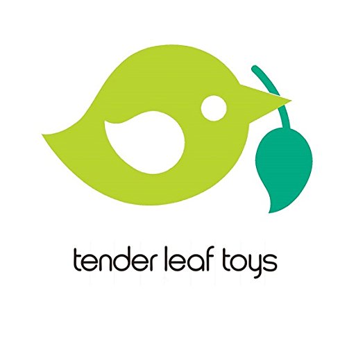 Tender Leaf Toys Rocket Construction 18-Pc Wooden Playset – Build 3 Spaceships, Boost Dexterity, Problem Solving & Imaginative Play, Ages 3+