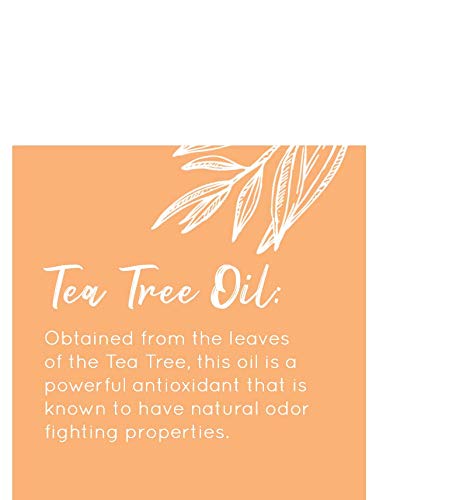 Australian Gold Moisturer Lock Tan Extender Lotion, Enriched with Vitamin E, Aloe Vera, 16 Fl Oz