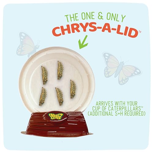 Insect Lore Raise & Release Butterfly Garden Kit – STEM Caterpillar Habitat with Voucher for Kids, Classrooms & Homeschool Learning