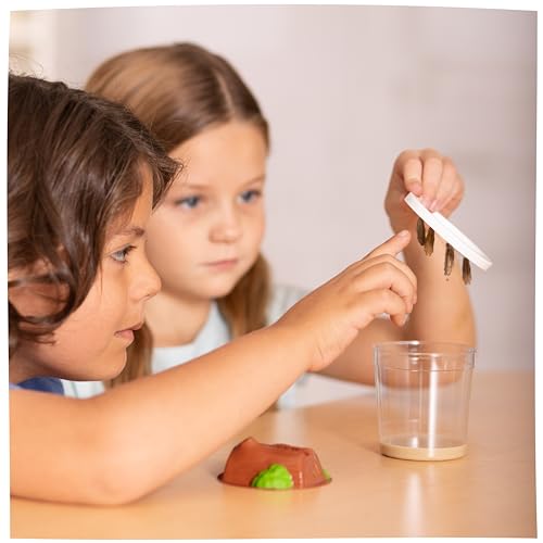 Insect Lore Raise & Release Butterfly Garden Kit – STEM Caterpillar Habitat with Voucher for Kids, Classrooms & Homeschool Learning