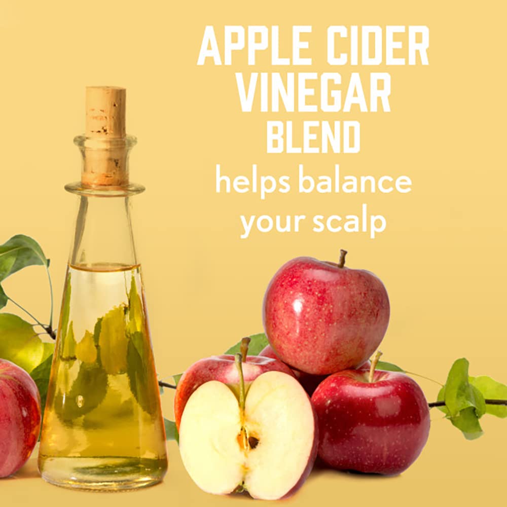 Aveeno Apple Cider Vinegar Shampoo & Conditioner Set – Clarifying & Balancing for Oily or Dull Hair, Adds Shine, Paraben & Dye-Free, 12 Fl Oz