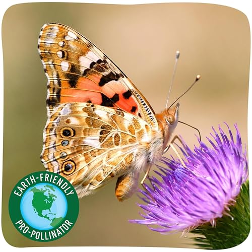 Insect Lore Raise & Release Butterfly Garden Kit – STEM Caterpillar Habitat with Voucher for Kids, Classrooms & Homeschool Learning