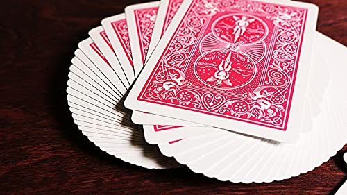 Bicycle Rider Back Fuchsia Deck