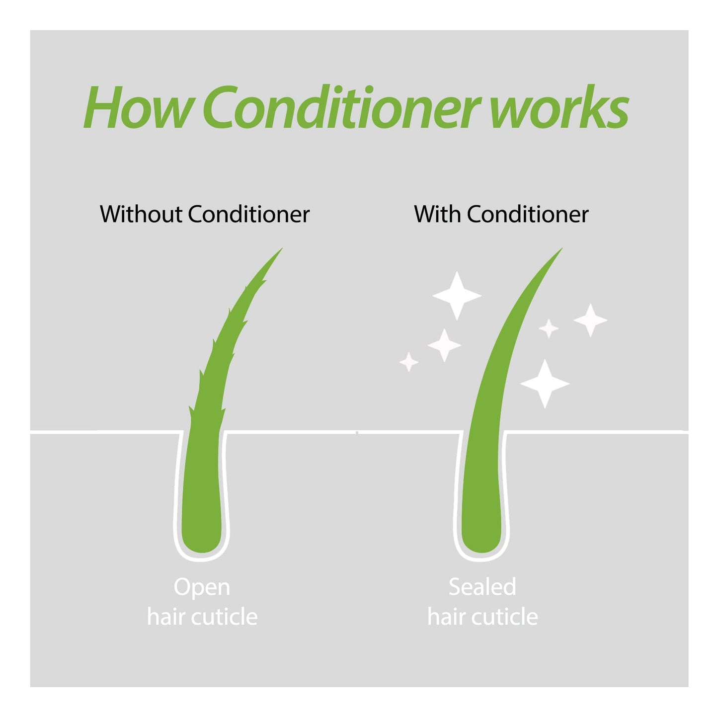 Plantur 39 Phyto Caffeine Conditioner for Women 5.07 Fl Oz – Nourishing, Sulfate-Free Formula for Fine, Thinning Hair with Wheat Protein & White Tea