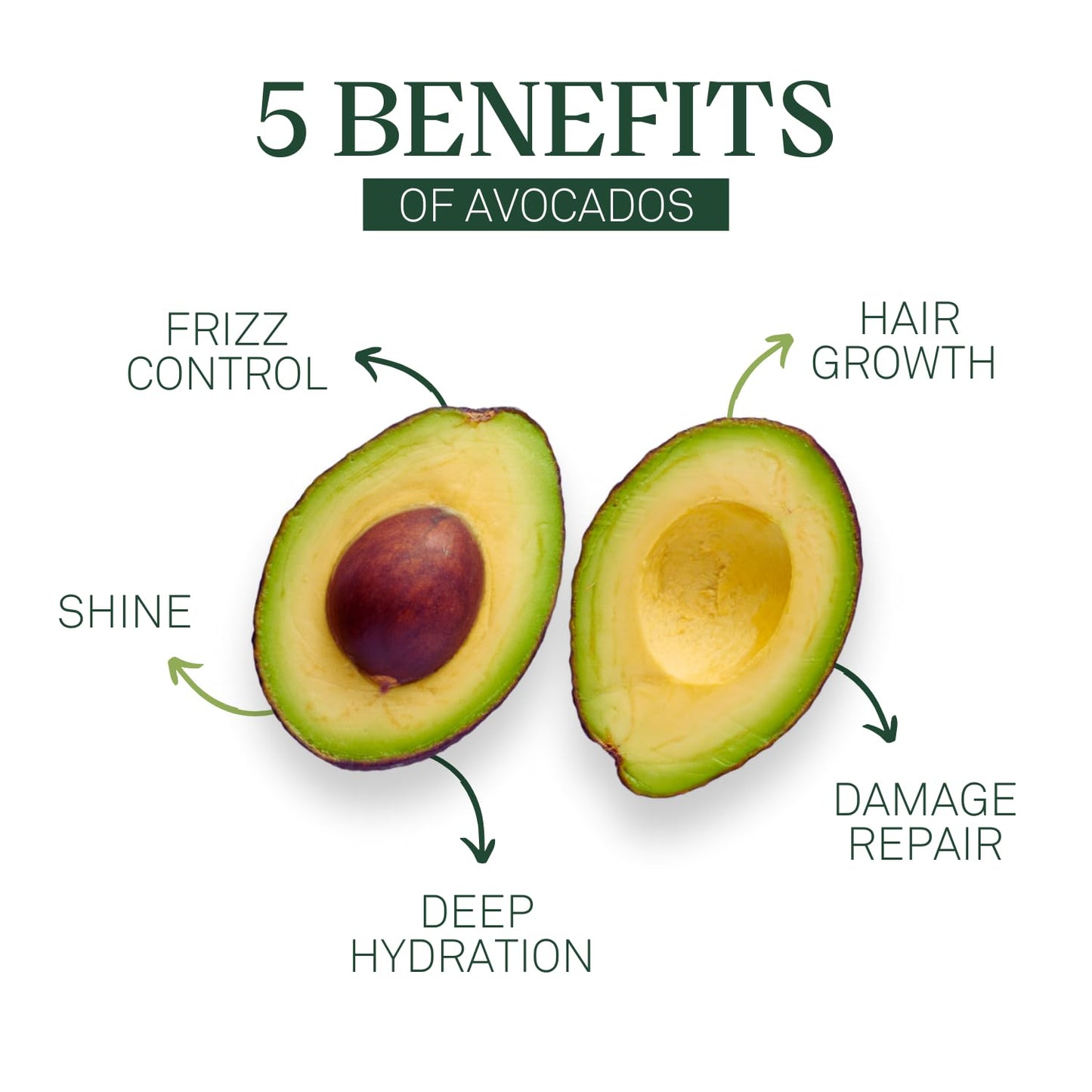 Eva + Avo Scalp Oil