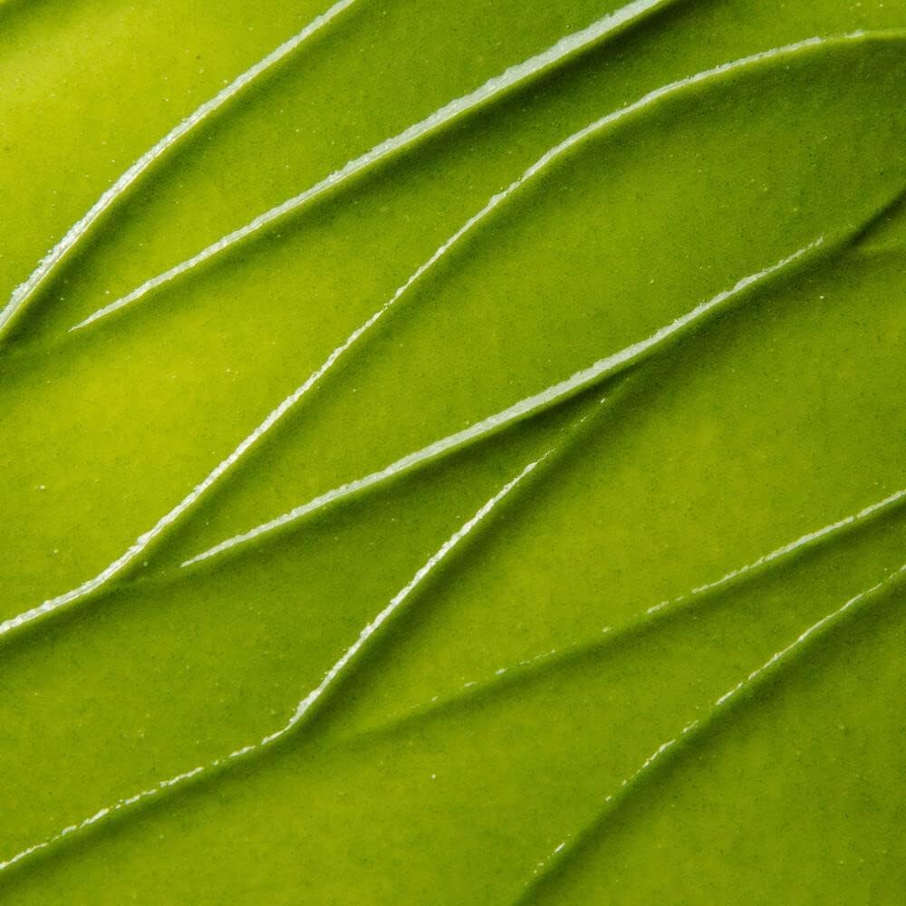 Kate Somerville ExfoliKate Intensive Exfoliating Treatment – Salicylic Acid and Lactic Acid Super Facial Scrub Improves Texture and Pores, 2 Fl Oz