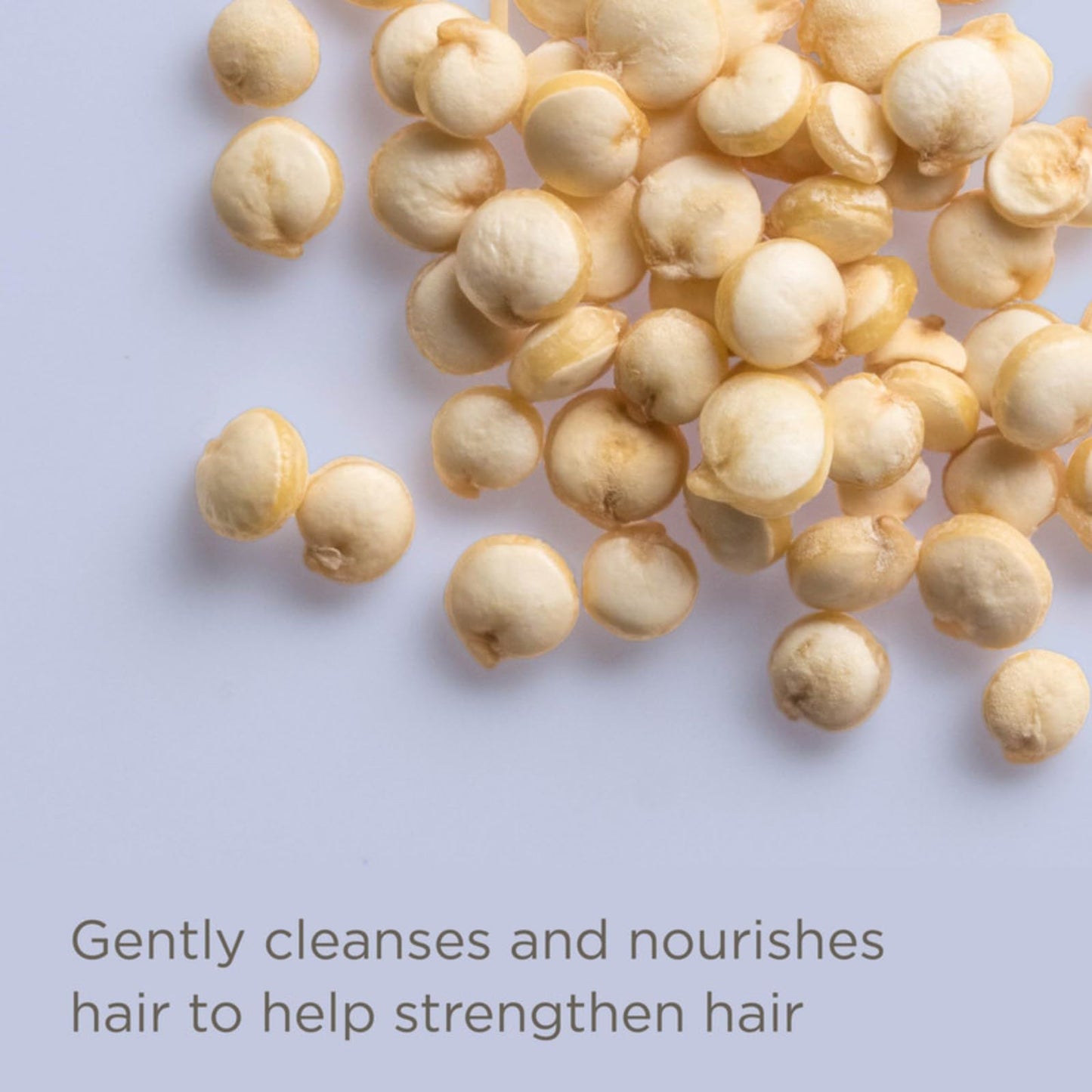 Hairitage Have It All Curl Enhancing Foam Mousse with Quinoa & Rice Protein for Frizz Control, Moisture & Bounce, Lightweight Styler, 5 oz