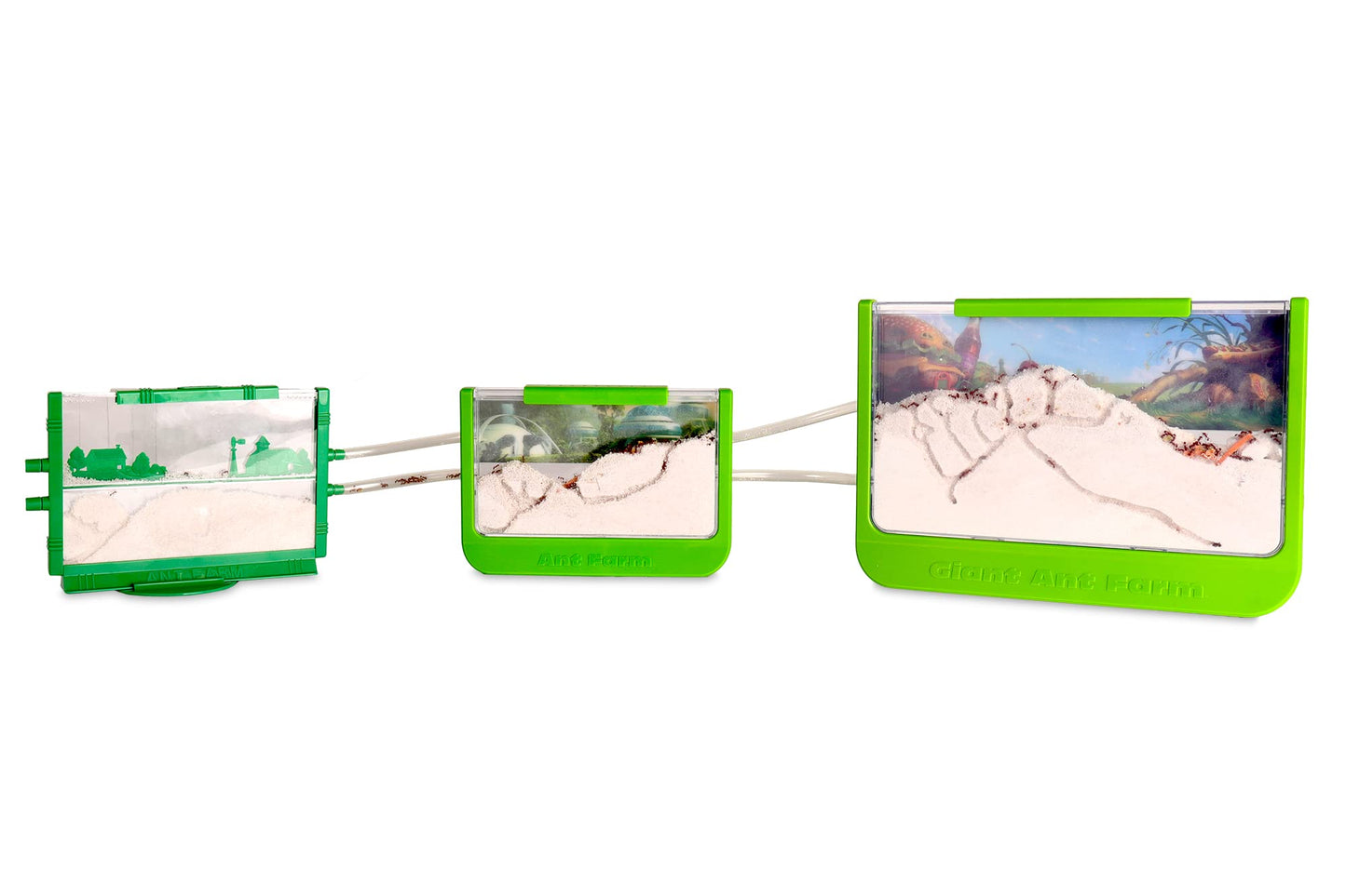 Uncle Milton Ant Farm Antopia Rainforest Ant Habitat - Observe Live Ants - STEM -Nature Learning Toy Green For 6 - 15 years