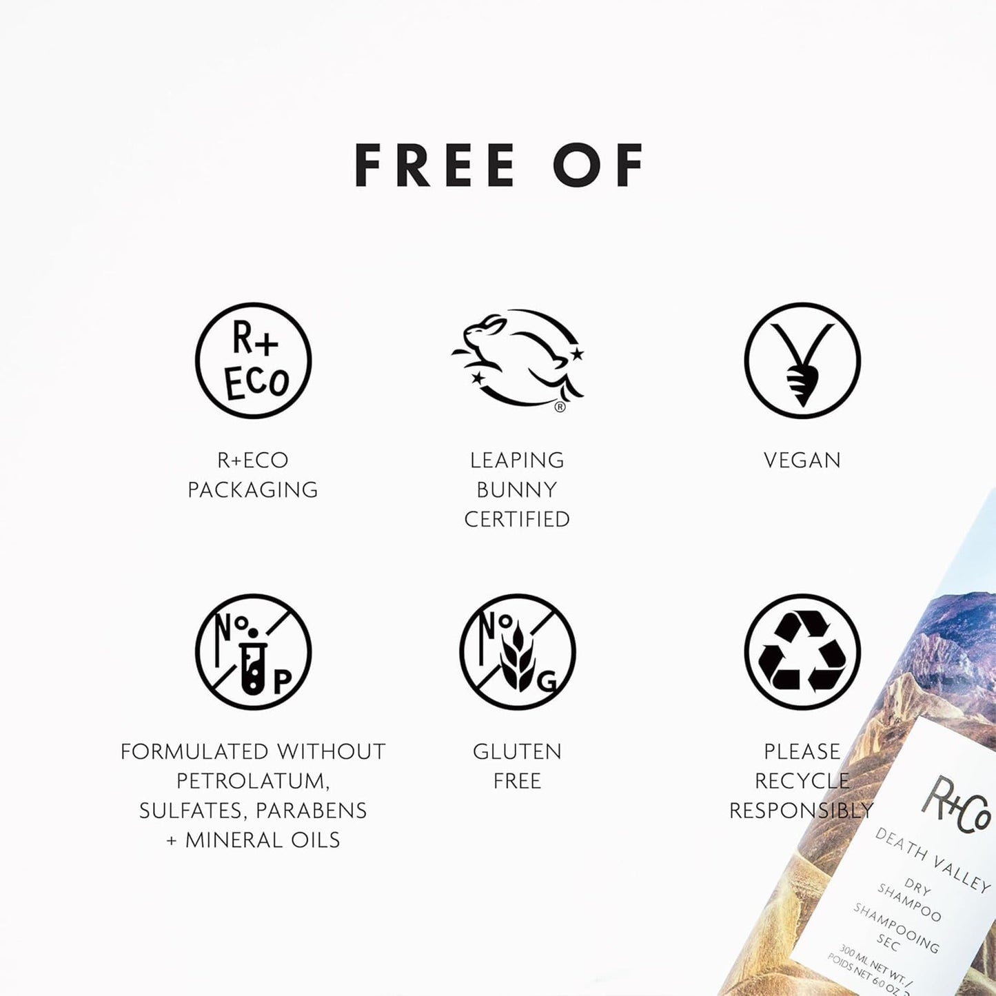 R+Co Death Valley Dry Shampoo For Women | Adds Volume & Body | Vegan, Gluten-Free & No Parabens |