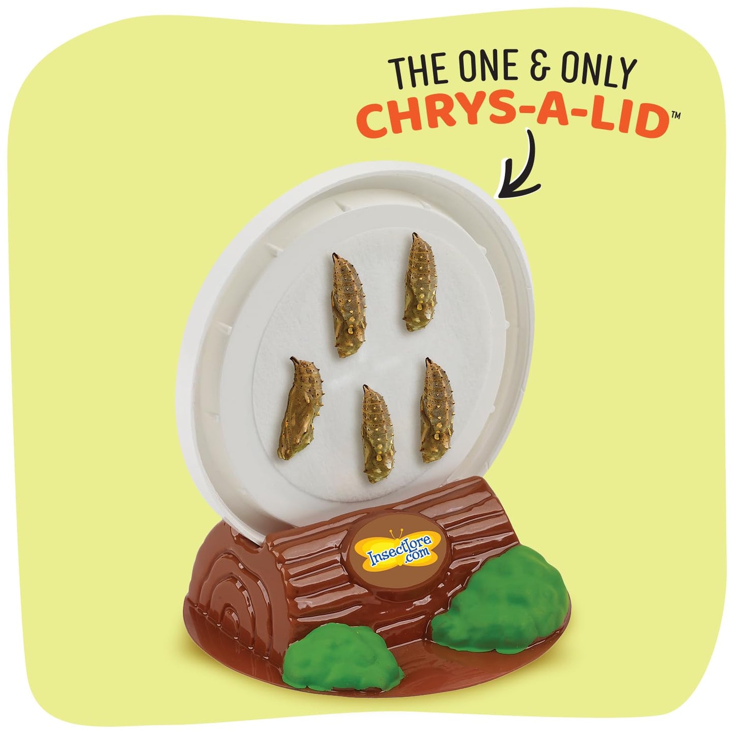 Insect Lore Butterfly Garden Kit – 10 Live Caterpillars, Habitat, STEM Journal, Feeder & Chrysalis Logs – Grow & Release Painted Lady Butterflies