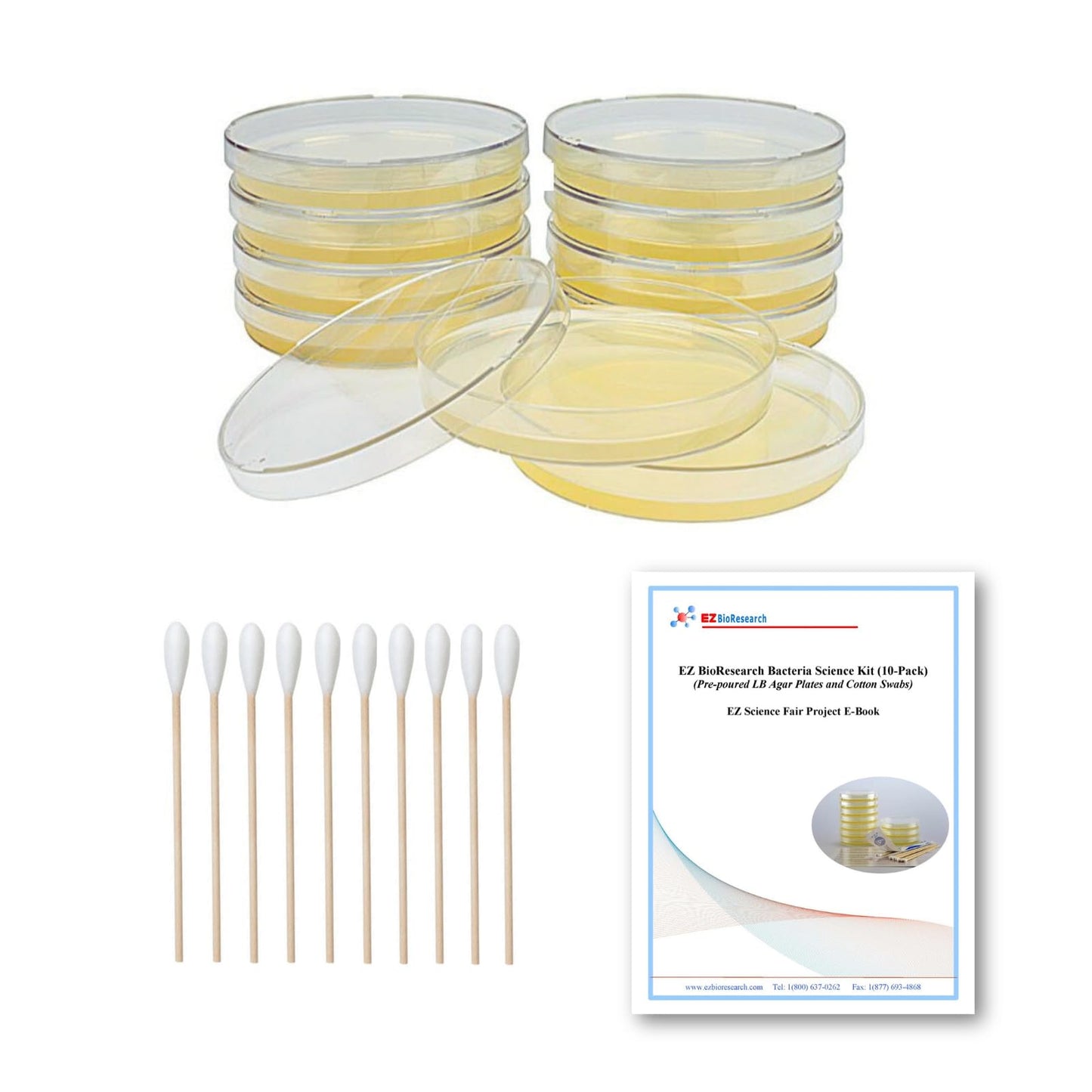 EZ BioResearch Bacteria Science Kit IV – Prepoured LB-Agar Plates & Cotton Swabs, Science Fair Project Kit with Free E-Book