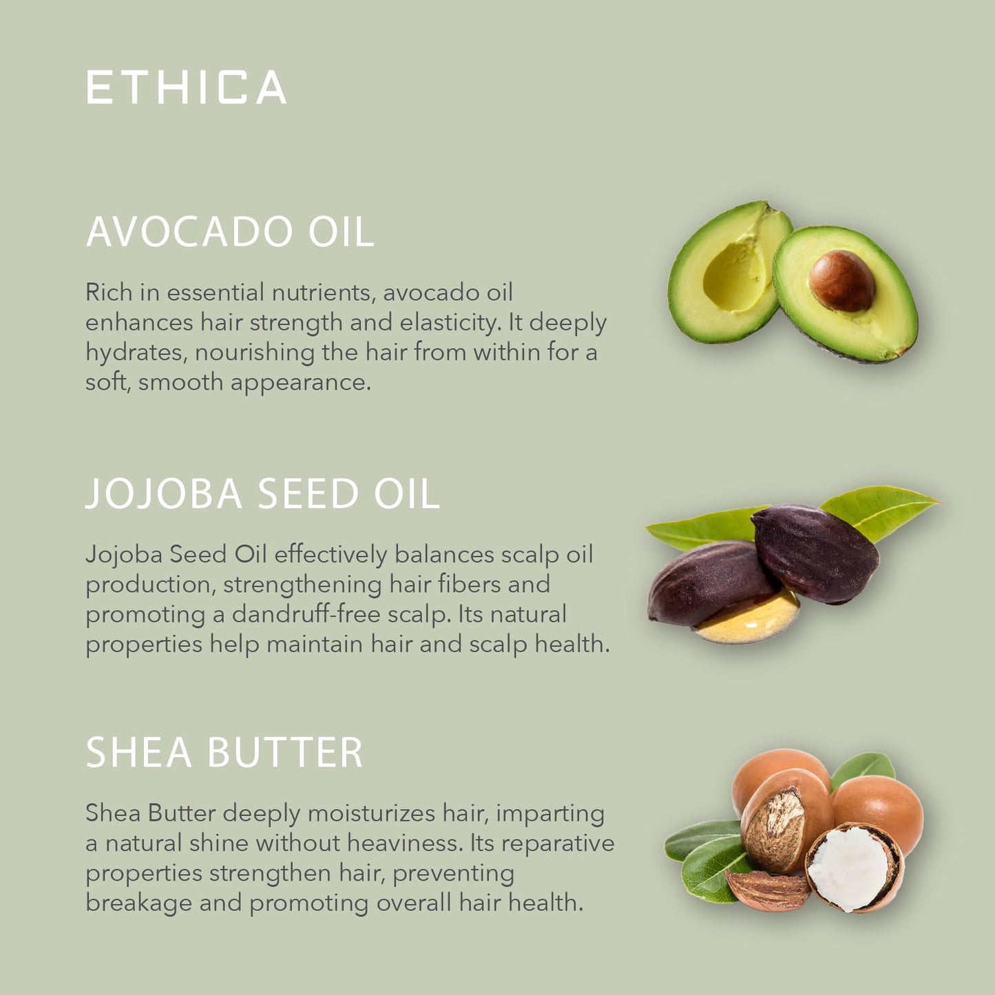 Ethica Beauty Professional Conditioner – Deep Conditioning, Volumizing & Hydrating Formula for Strong, Healthy Hair & Scalp, Promotes Growth, 8.45 oz