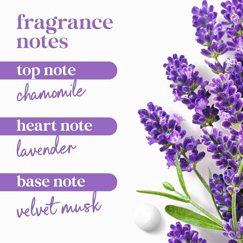 Dove Body Wash with Pump Relax Lavender Oil & Chamomile For 24hr Lotion-Soft Skin Moisturizing Skin Cleanser with No Sulfates No Parabens 30.6 Oz