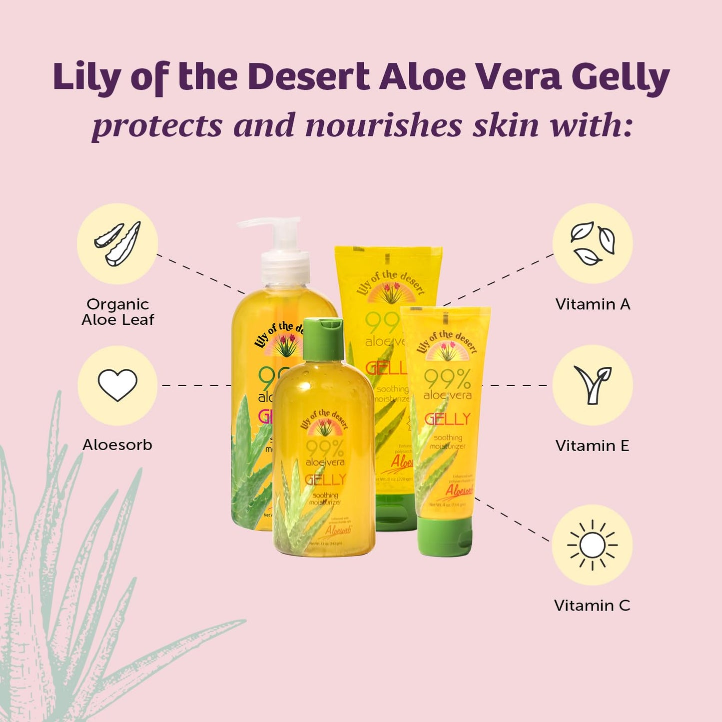 Lily Of The Desert Gelly Moisturizer, 99% Organic Aloe Vera Gel with Vitamin E & C – Soothes Sunburn, After Sun Skin Care, 16 Fl Oz