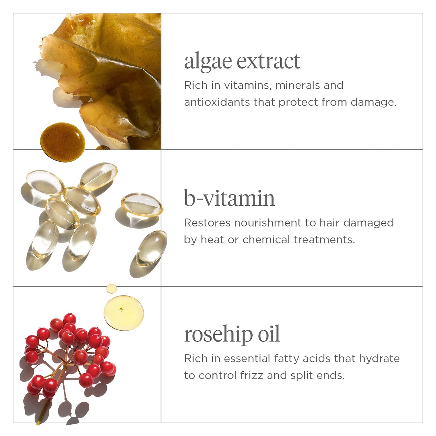 Briogeo Don’t Despair, Repair! Deep Conditioning Mask | Strengthens Dry, Damaged & Color-Treated Hair | Prevents Breakage | Vegan | 8 fl oz