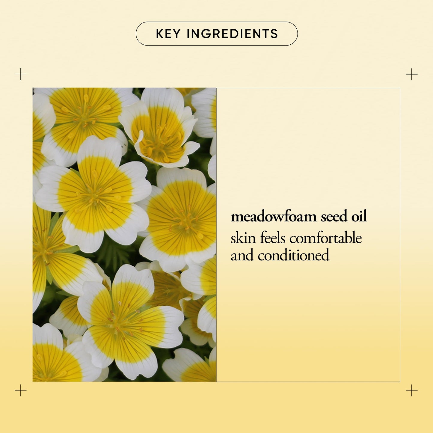 Philosophy Purity Made Simple One-Step Facial Cleansing Cloths, Removes Makeup & Dirt, No-Rinse, 30 Count