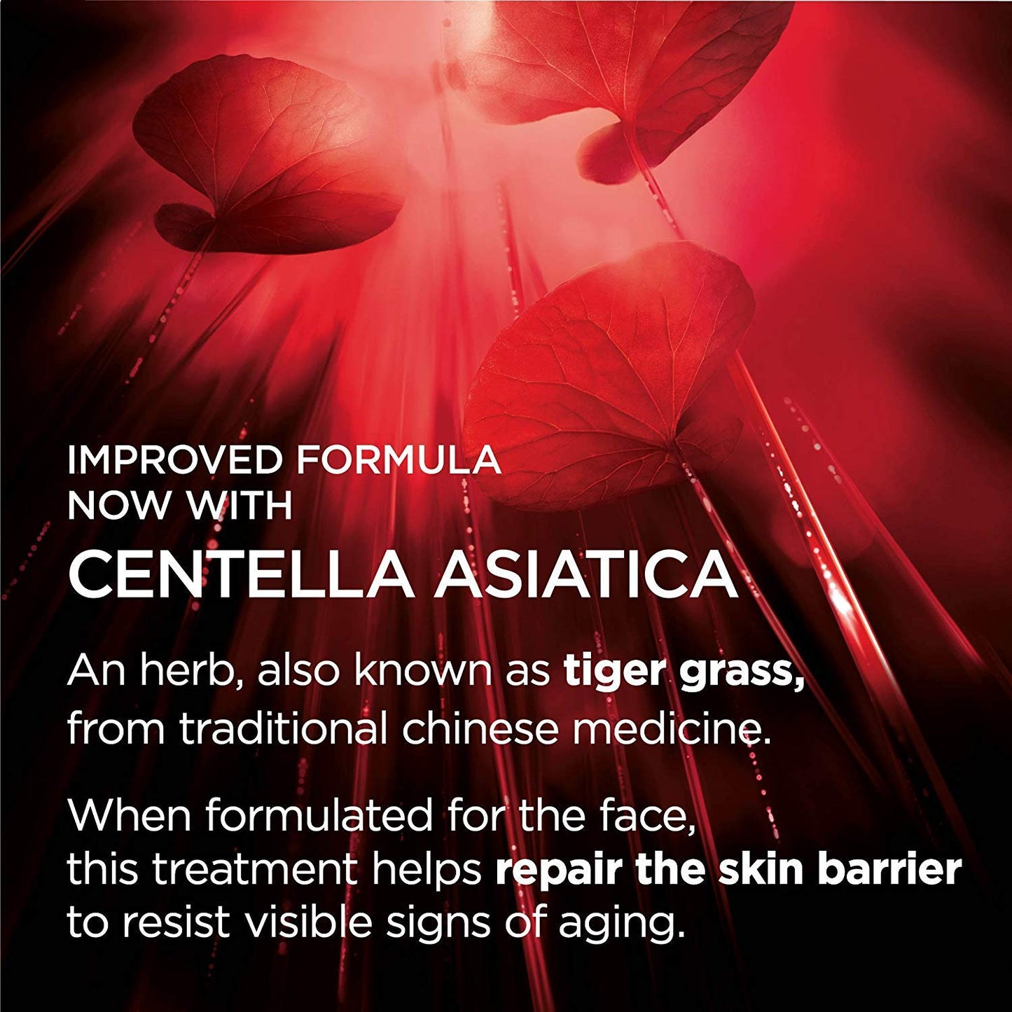 L'Oreal Paris Skincare Revitalift Anti-Wrinkle and Firming Eye Cream with Pro Retinol, Treatment to Reduce Dark Circles, Fragrance Free, 0.5 oz.