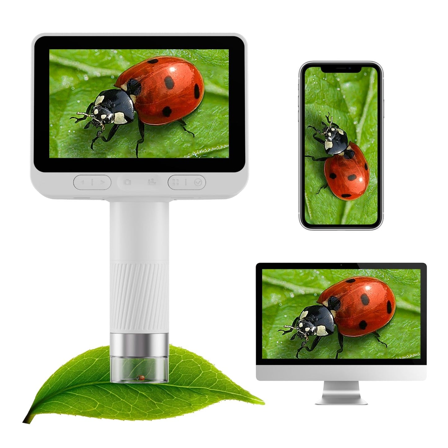 BEAVERLAB Finder Digital Microscope with 4 Inch Screen, 1080P HD 1600X Kids Portable Handheld Microscope with 8G Card for Scientific Experiment