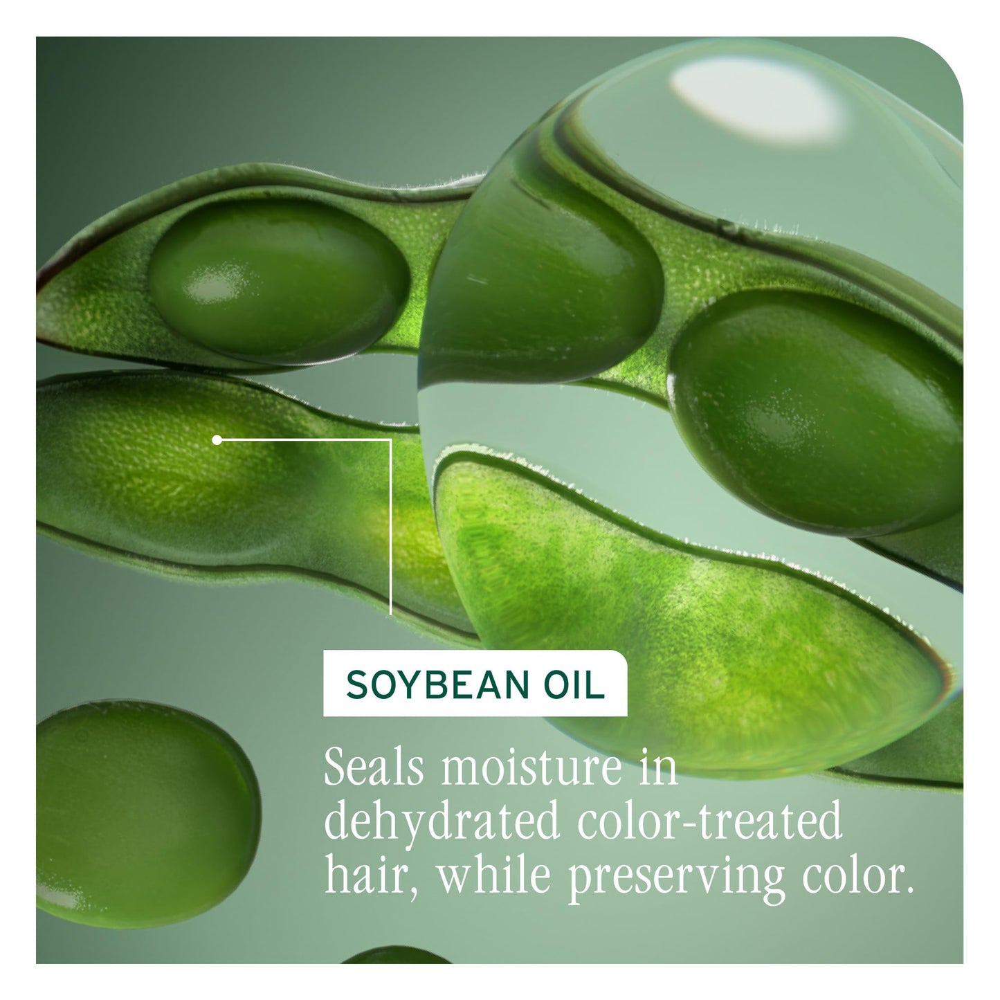 Biolage Color Last Shampoo for Color-Treated Hair | Hydrates, Strengthens & Adds Shine | Soybean Oil, Paraben-Free, Vegan, 13.5 Fl Oz