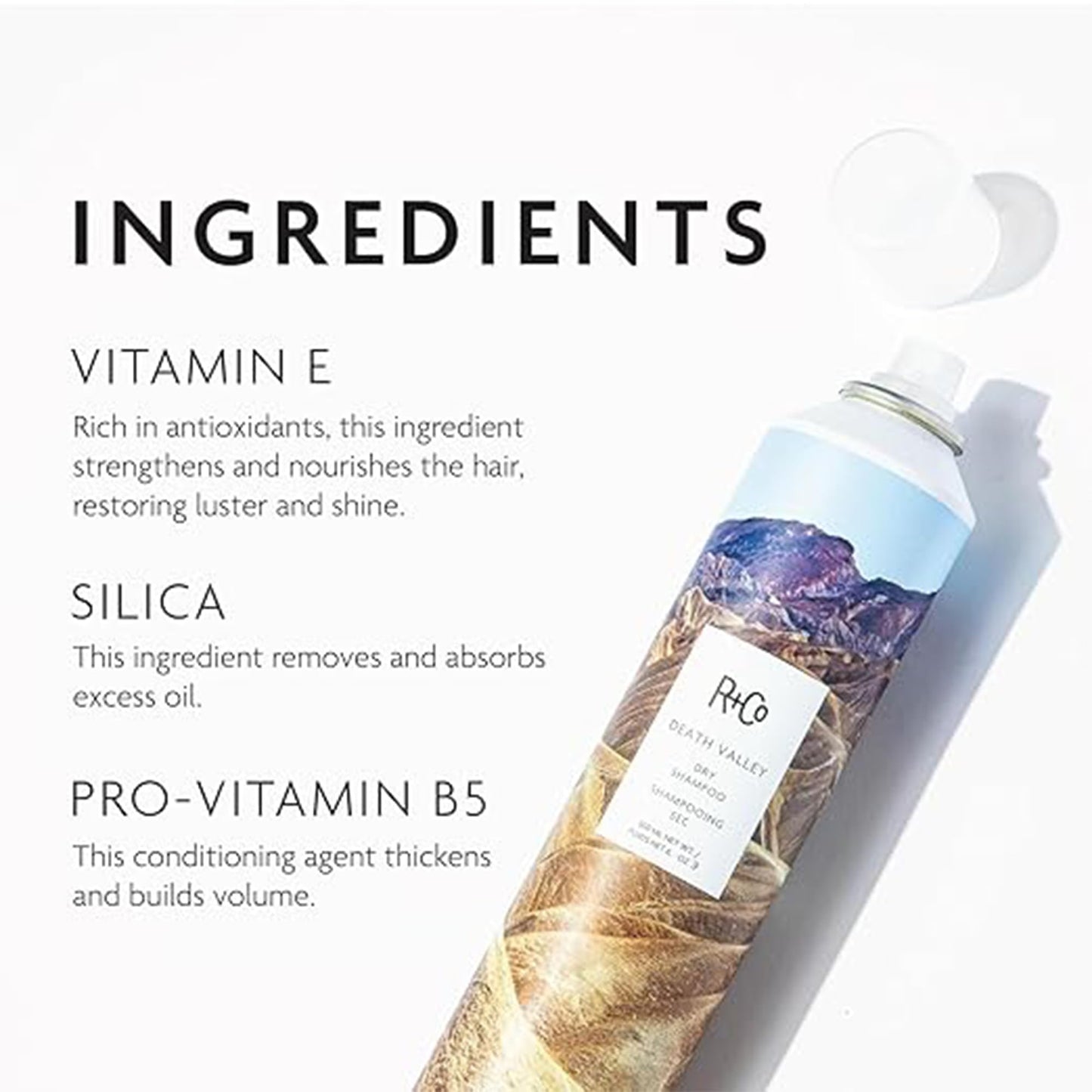R+Co Death Valley Dry Shampoo For Women | Adds Volume & Body | Vegan, Gluten-Free & No Parabens |