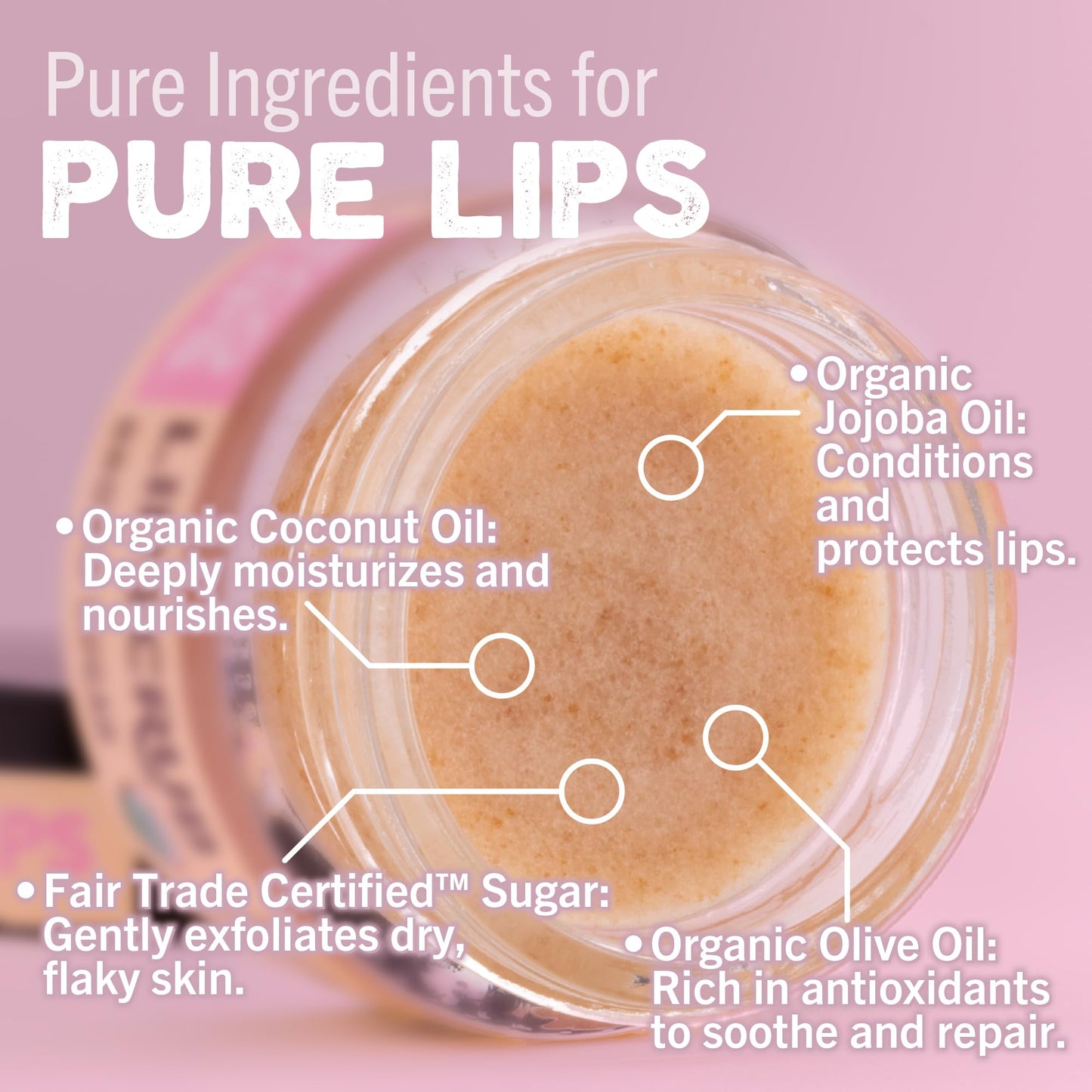 Eco Lips Lip Sugar Scrub 4-Pack, 100% Organic Lip Care, Exfoliates & Moisturizes with Sugar & Coconut Oil, 4 x 0.25oz Jars