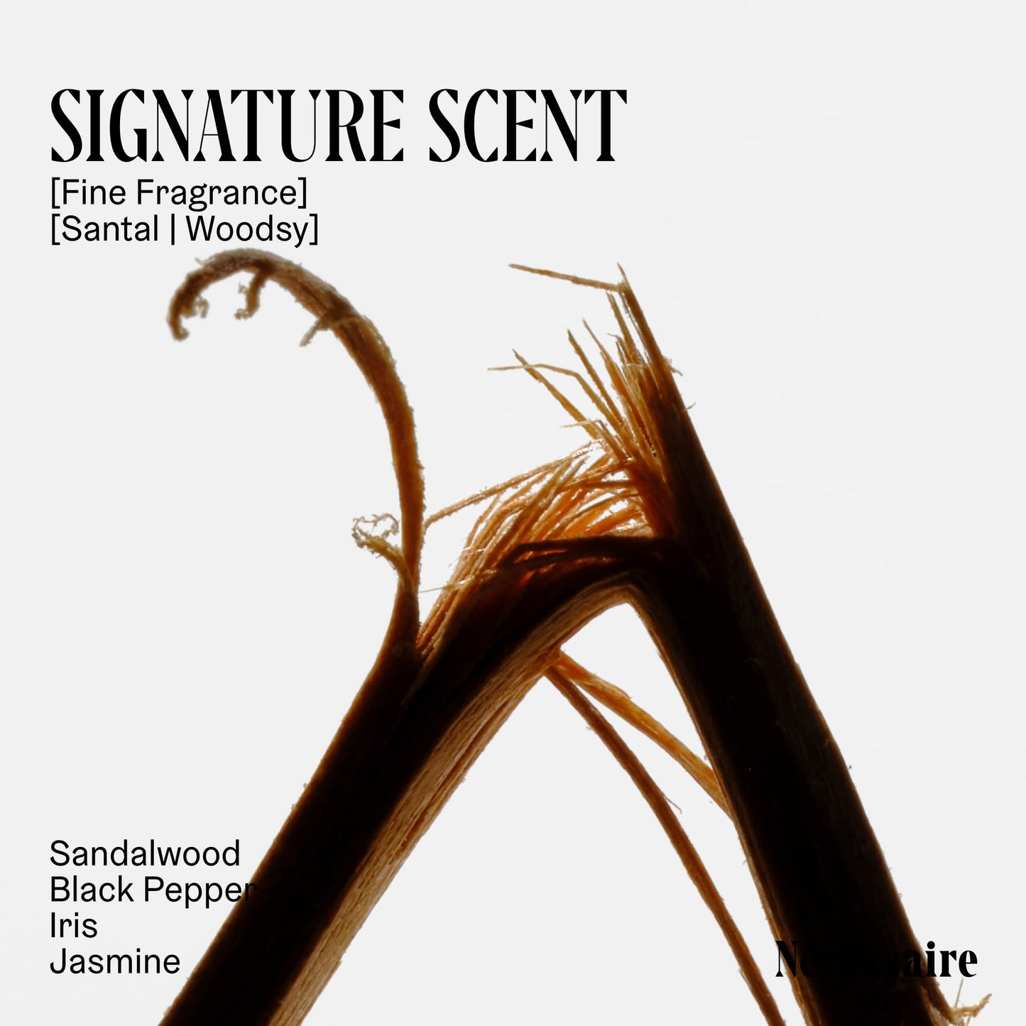 Nécessaire Body Essentials 3-Piece Set – Santal Body Wash, Lotion & Aluminum-Free Deodorant – Travel Size, Hypoallergenic, Dermatologist-Tested