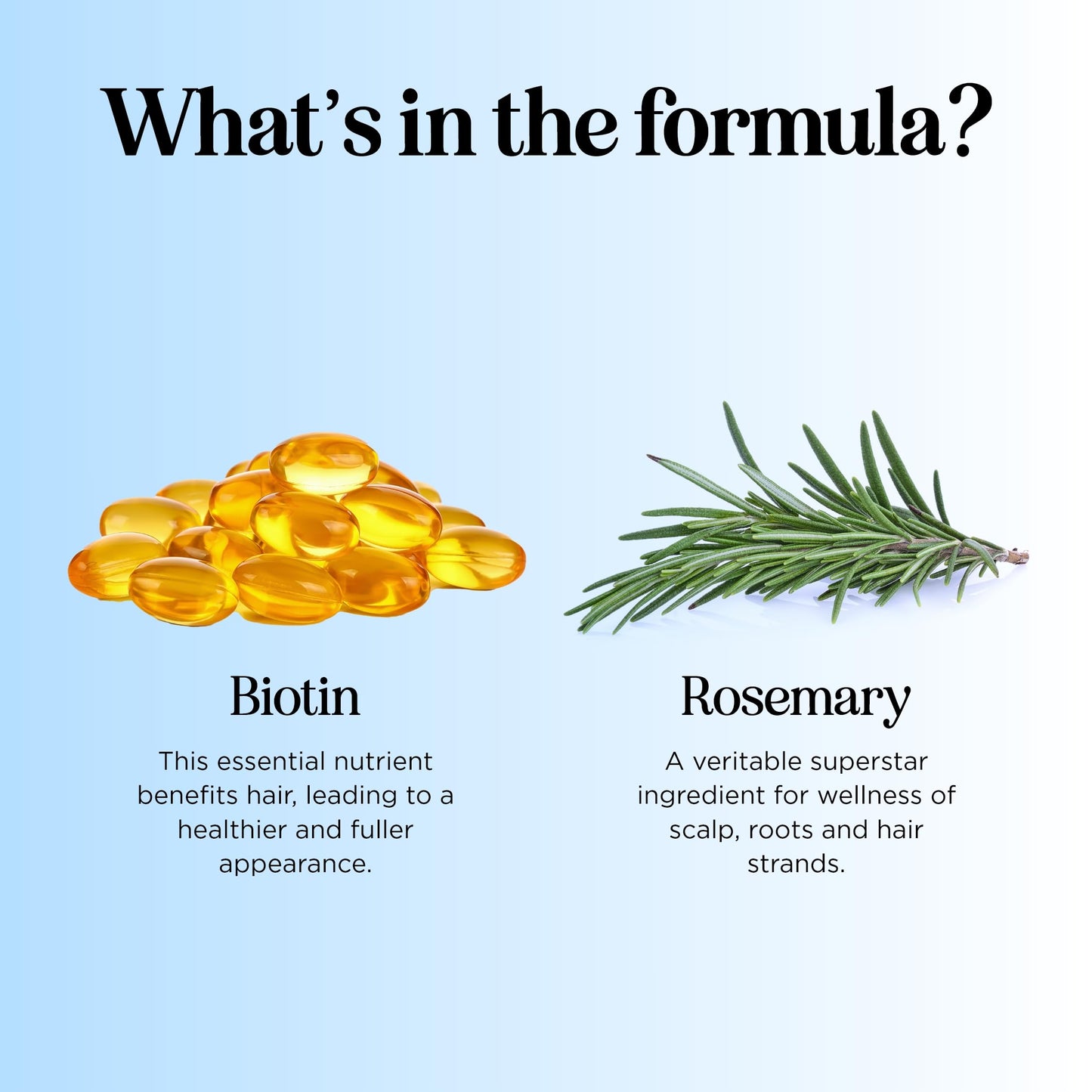 Rosemary & Biotin Shampoo for Thinning Hair – Volumizing Vegan Formula with B Vitamins, Argan & Tea Tree Oils – Sulfate, Paraben & Silicone Free, 8 Fl Oz