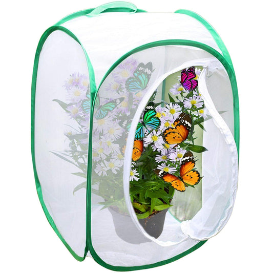SunGrow 24" Foldable Butterfly Habitat - Cage for Caterpillars, Breeding Ladybugs, Dragonflies, Soldier & Houseflies, Green