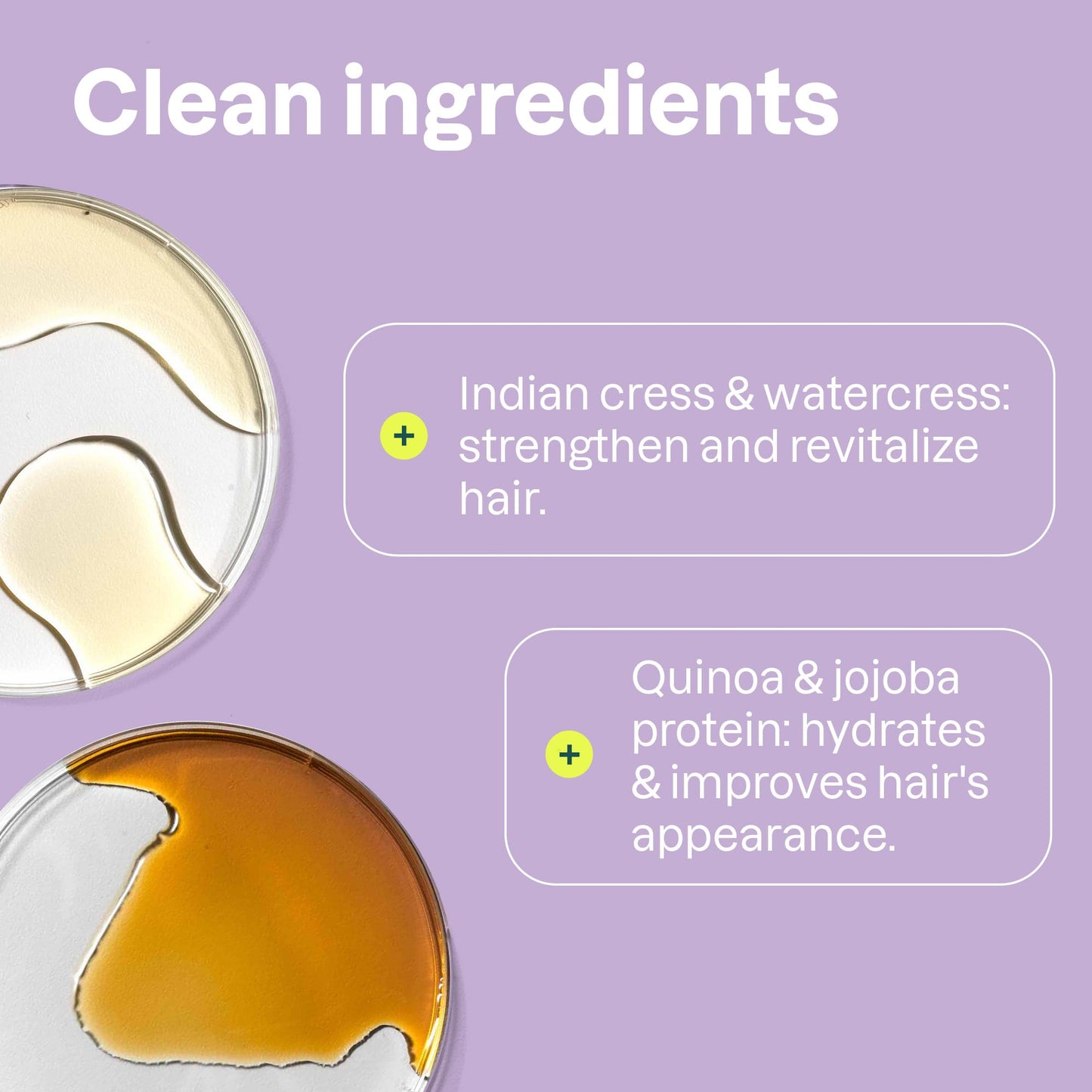 ATTITUDE Moisture Rich Conditioner for Dry & Damaged Hair | Vegan Detangler with Quinoa & Jojoba | Nourishing, Dermatologist-Tested, 32 Fl Oz