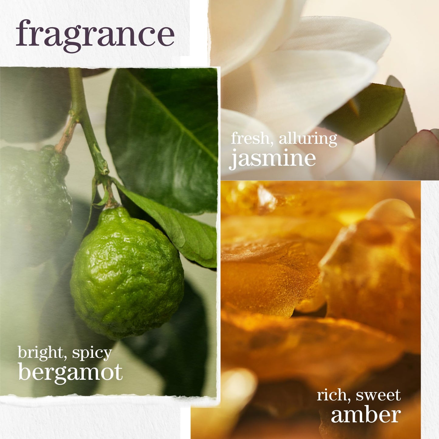 Pureology Strength Cure Dream Healer Hair Serum – Lightweight Leave-In Treatment for Split End Repair, Smoothing & Strengthening, Vegan Heat Protectant