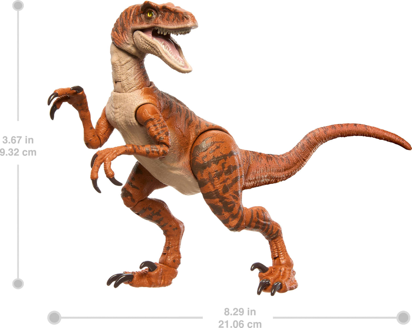 Mattel Jurassic World Hammond Collection Dinosaur Action Figure Toy, Atrociraptor Tiger, Premium Movie Design Glass Eyes & 13 Points Articulation