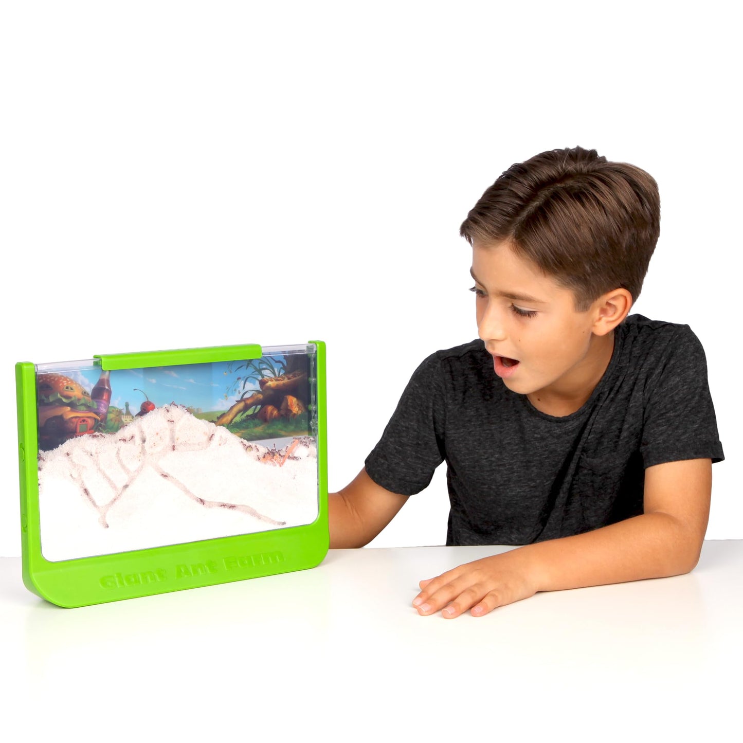 Uncle Milton Giant Ant Farm - Large Viewing Area - Care for Live Ants - Nature Learning Toy - Science DIY Toy Kit - Great Gift for Boys & Girls, Green