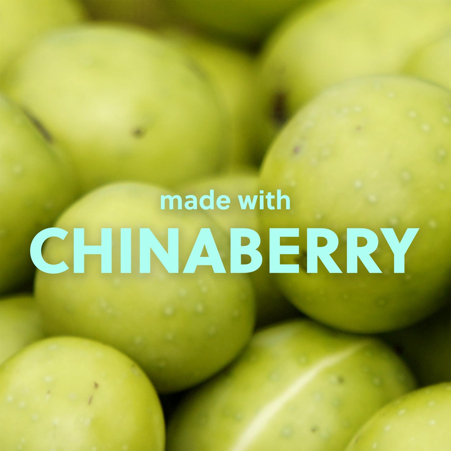 Tree Hut Sugarlips Peppermint Pearl Lip Butter, Limited Edition Holiday, Moisturizing & Nourishing, Full Hydrated Lips, 0.52 fl oz