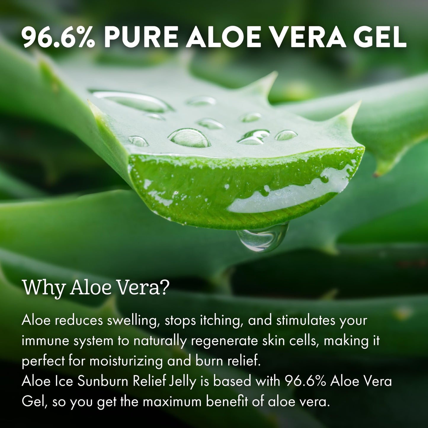 ALOE UP Aloe Ice Sunburn Relief Gel - Organic After-Sun Face & Body Gel with 96.6% Aloe Vera, Alcohol & Fragrance-Free, Reef Safe, 4oz