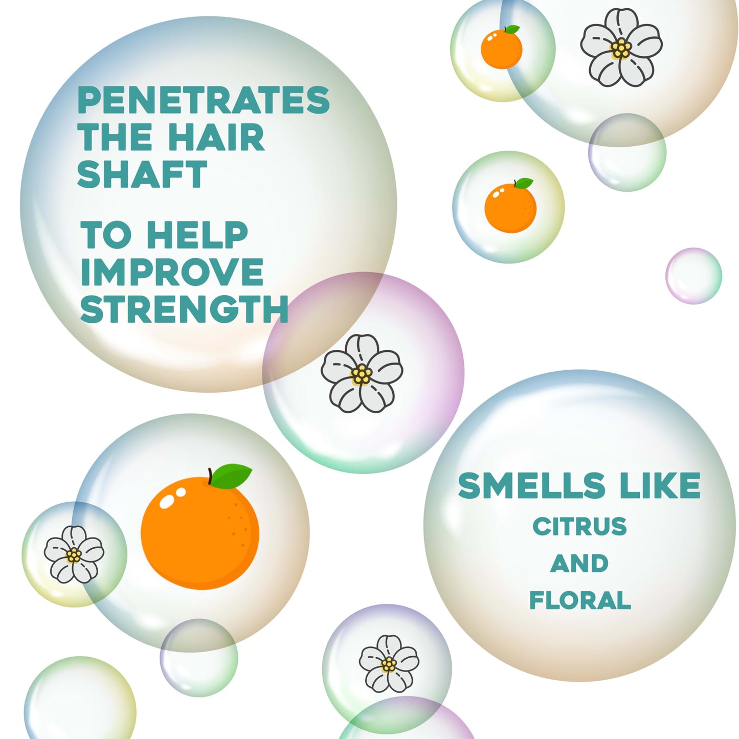 OGX Renewing + Argan Oil of Morocco Dry Oil Spray | Lightweight Mist for Frizz Control, Split Ends & Shine | Paraben & Sulfate Free, 4 fl oz