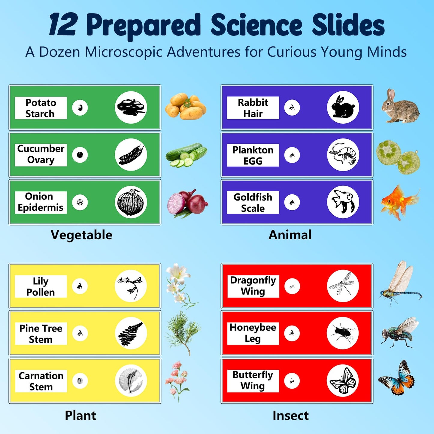 1000X Handheld Kids Microscope with 4K 2.4" Screen, 12 Slides, Portable Educational Toy Gift for Ages 3-12 (Blue)
